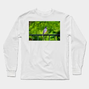 Robin On The Rail Long Sleeve T-Shirt